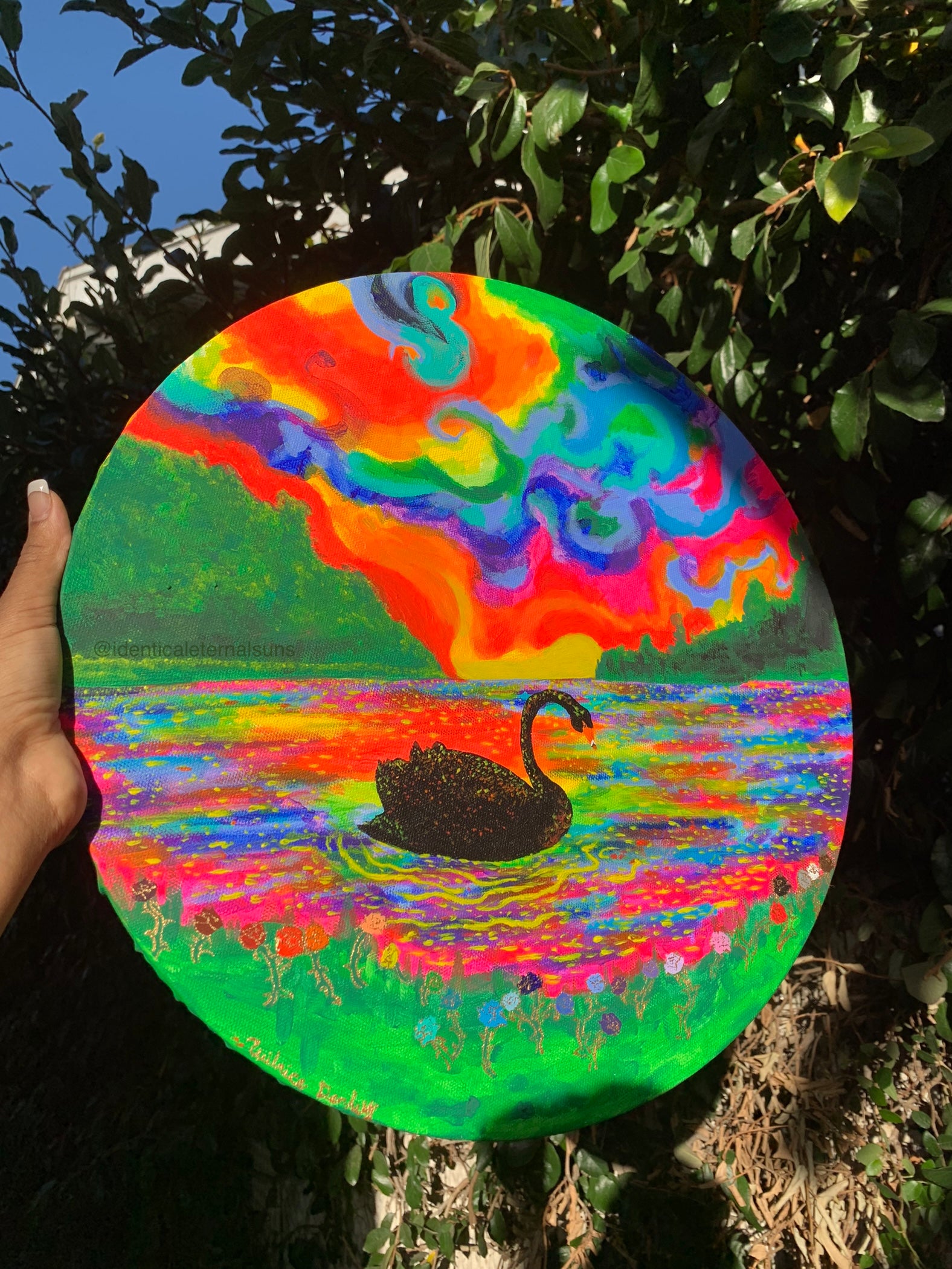 Black swan floating in a rainbow atmosphere Original Painting