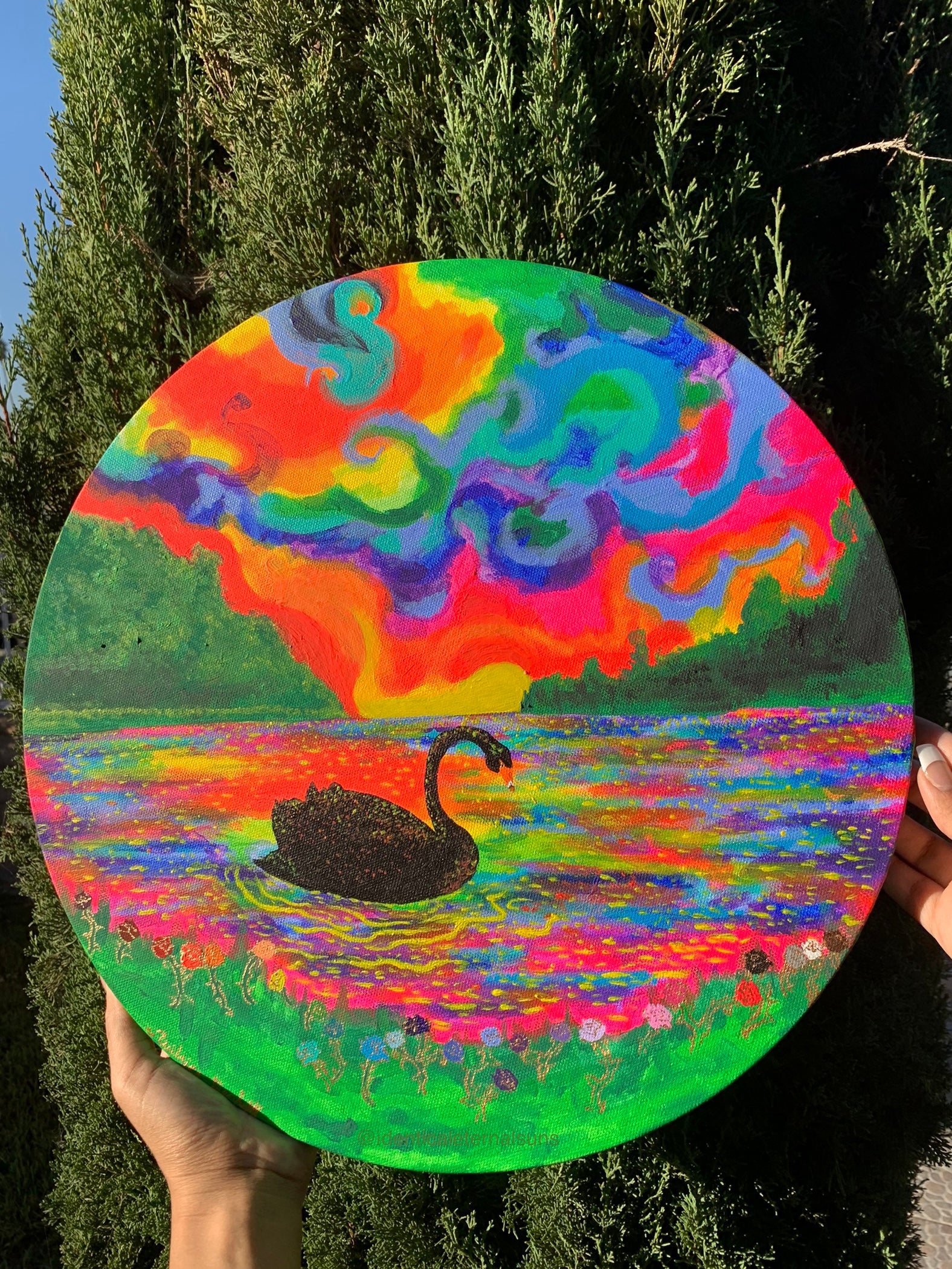 Black swan floating in a rainbow atmosphere Original Painting